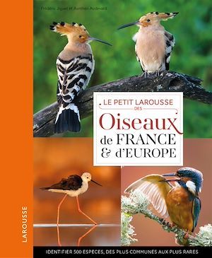 ebook cover of Petit Larousse des oiseaux de France et d'Europe, by Frédéric Jiguet