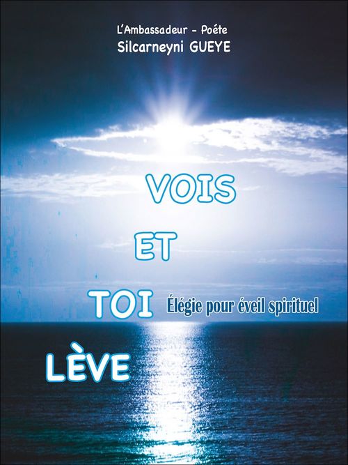 ebook cover of Lève-toi et vois, by Silcarneyni Gueye