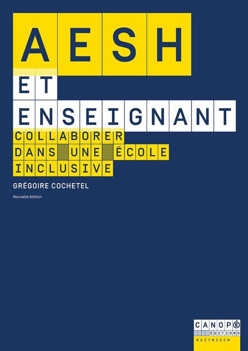 ebook cover of AESH et enseignant, by Grégoire Cochetel