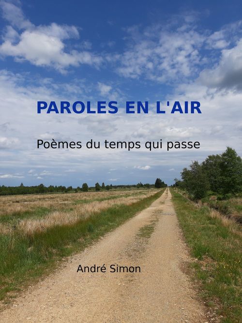 Couverture ebook de Paroles en l'air, de Andre Simon