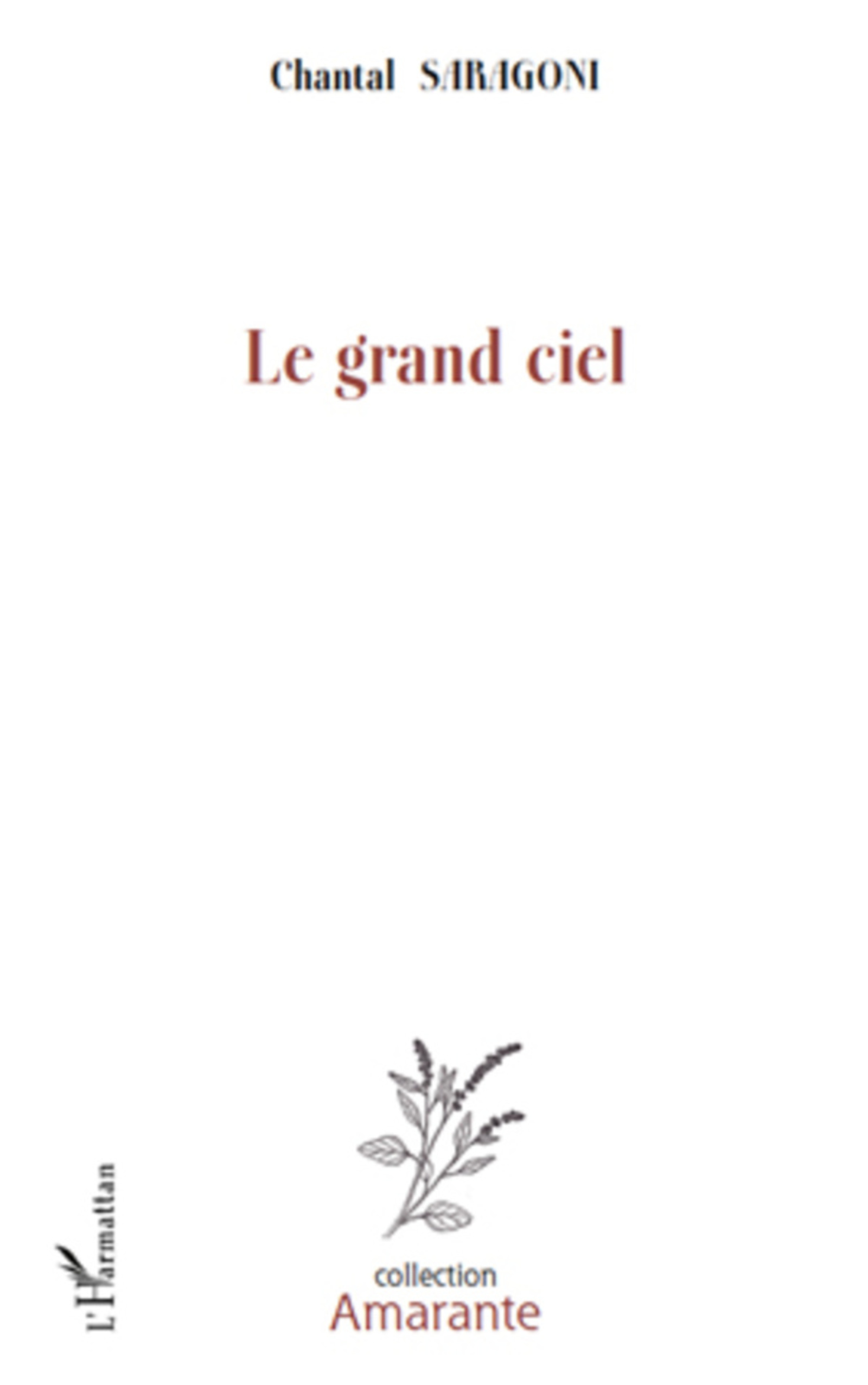 ebook cover of Le grand ciel, by Chantal Saragoni