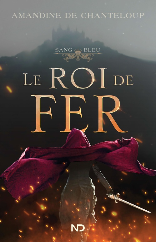 ebook cover of Le roi de fer, by Amandine De Chanteloup