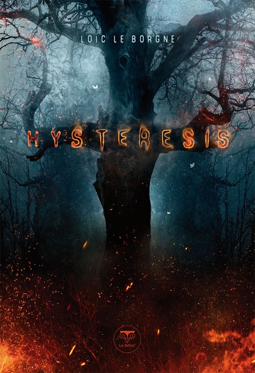 Couverture ebook de Hysteresis, de Loïc Le borgne