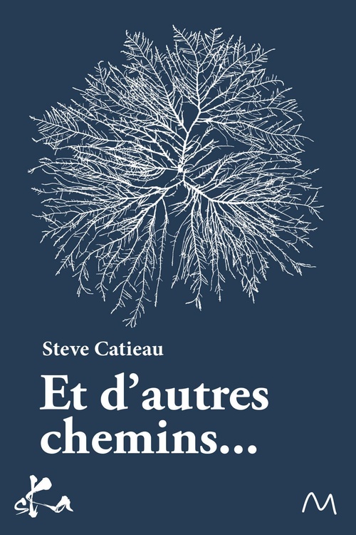 Couverture ebook de Et d'autres chemins, de Steve Catieau