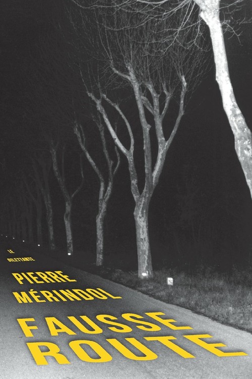 Couverture ebook de Fausse route, de Pierre Merindol