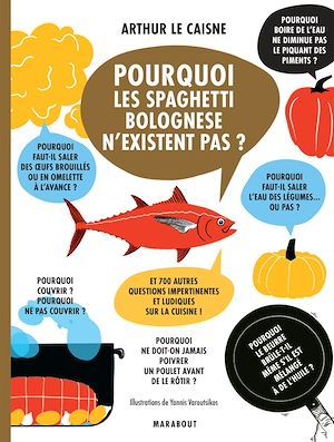 ebook cover of Pourquoi les spaghetti bolognese n'existent pas, by Arthur Le caisne, Yannis Varoutsikos