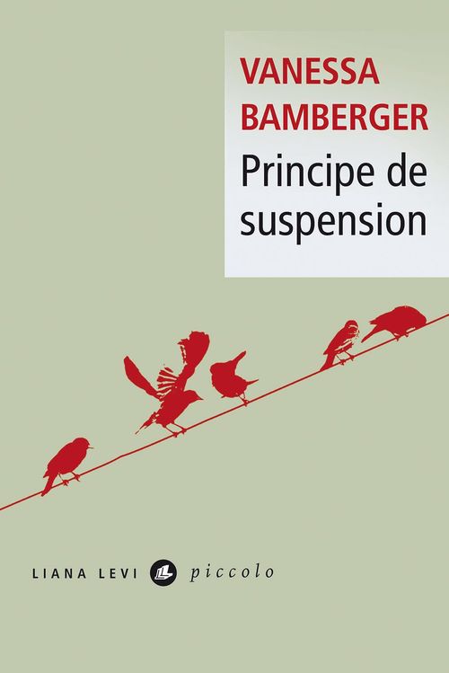 ebook cover of Principe de suspension, by Vanessa Bamberger