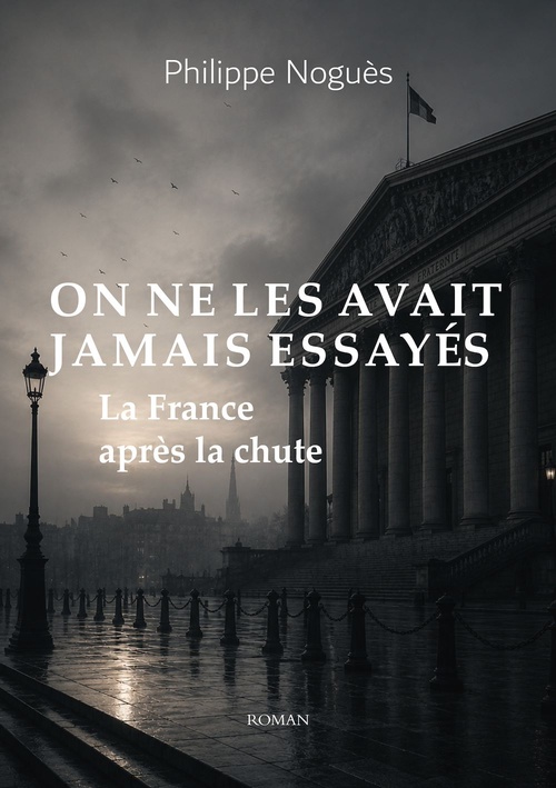 Couverture ebook de On ne les avait jamais essayés, de Philippe Noguès