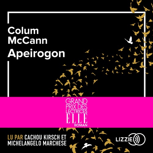 audiobook cover of Apeirogon, by Colum McCann