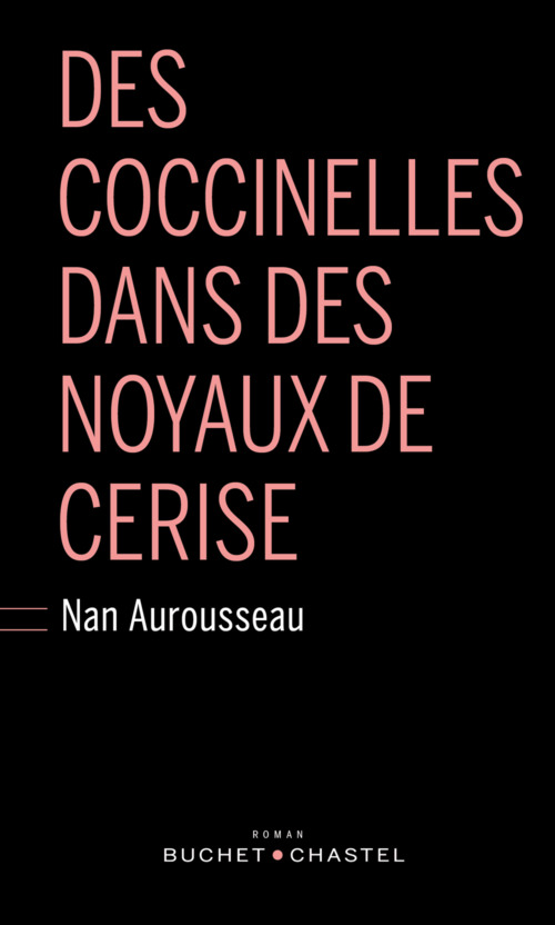 Couverture ebook de Des coccinelles dans des noyaux de cerise, de Nan Aurousseau
