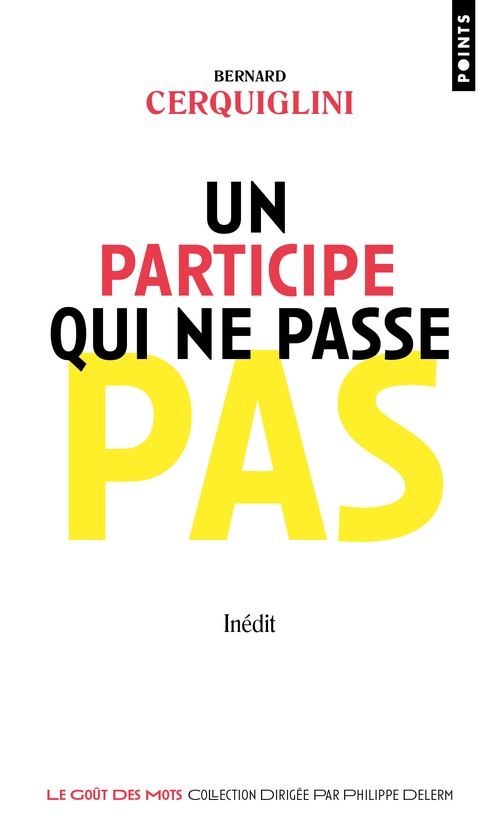 ebook cover of Un participe qui ne passe pas, by Bernard Cerquiglini