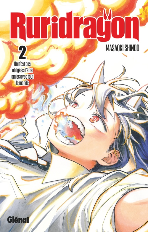 ebook cover of Ruridragon - Tome 02, by Masaoki Shindo