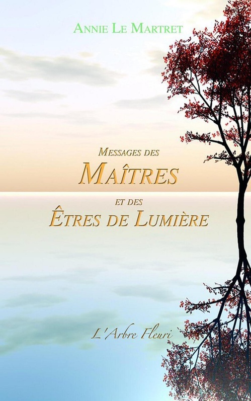 ebook cover of Messages des Maîtres et des Etres de Lumière, by Annie Le Martret