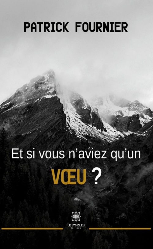 Couverture ebook de Et si vous n'aviez qu'un voeu ?, de Patrick Fournier