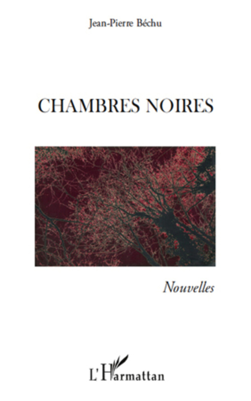 ebook cover of CHAMBRES NOIRES, by Jean-Pierre Béchu
