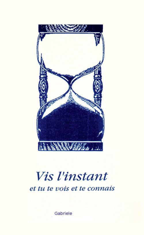 ebook cover of Vis l'instant, by Gabriele