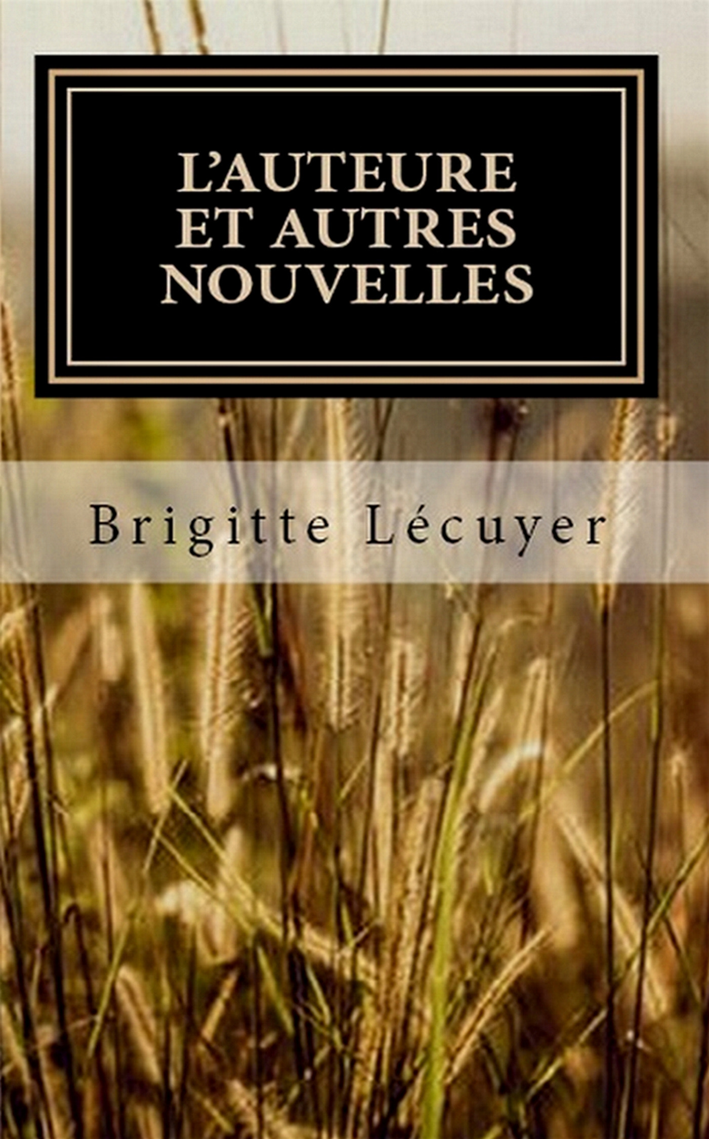 Couverture ebook de L'auteure et autres nouvelles, de Bookless-Editions Brigitte Lecuyer