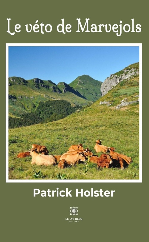 ebook cover of Le véto de Marvejols, by Patrick Holster
