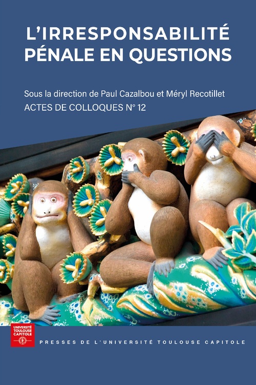 ebook cover of L'irresponsabilité pénale en questions, by