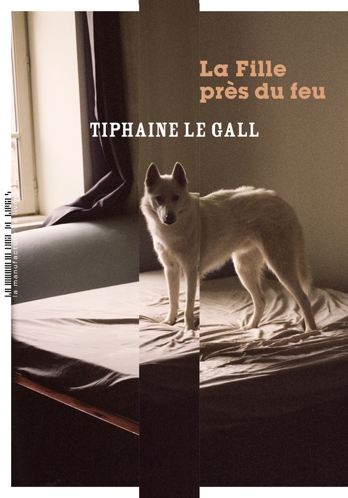 ebook cover of La Fille près du feu, by Tiphaine Le Gall
