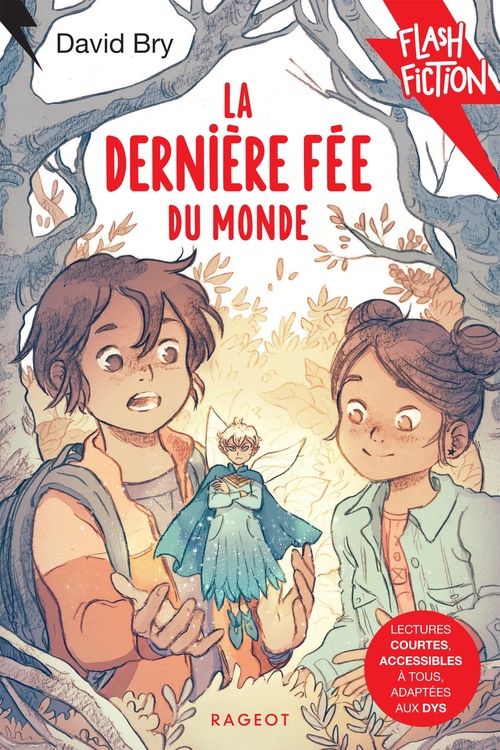 ebook cover of La dernière fée du monde, by David Bry