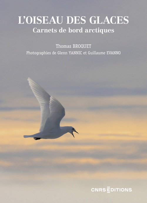 Couverture ebook de L'oiseau des glaces - Carnets de bord arctiques, de Thomas Broquet