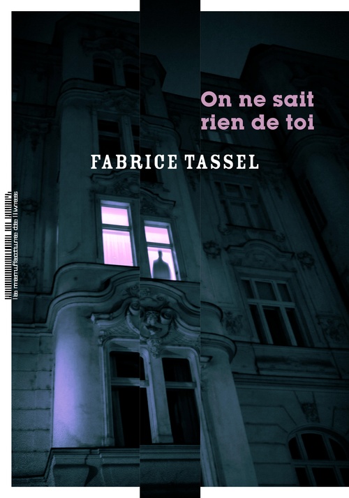 ebook cover of On ne sait rien de toi, by Fabrice Tassel