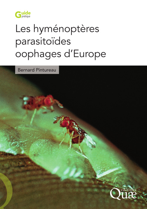 ebook cover of Les hyménoptères parasitoïdes oophages d'Europe, by Bernard Pintureau