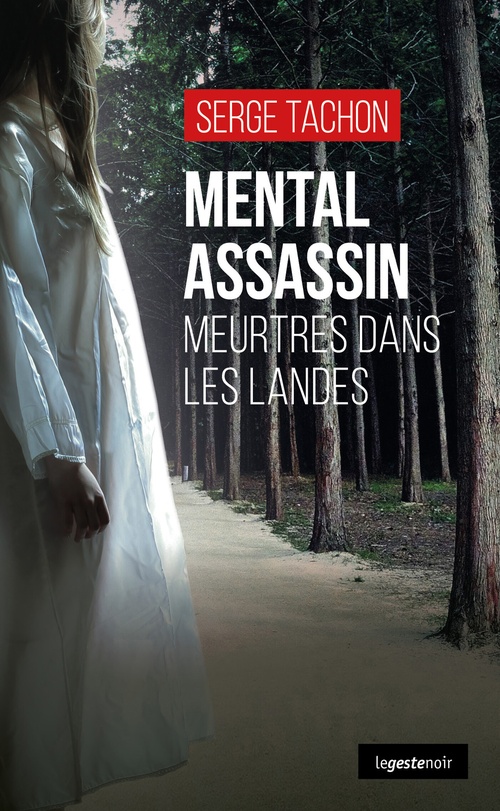ebook cover of Mental assassin, by Serge Tachon