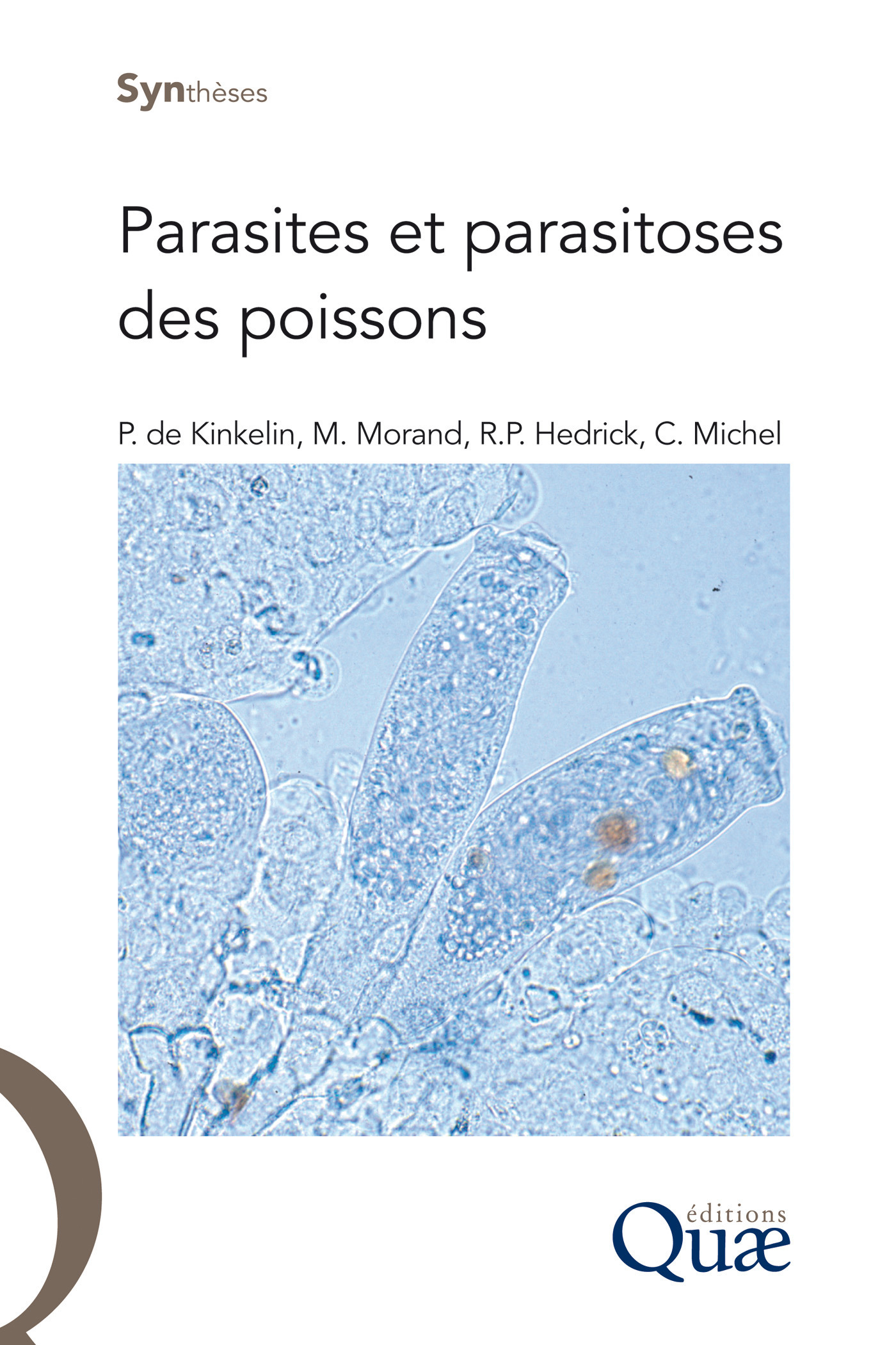 ebook cover of Parasites et parasitoses des poissons, by Marc Morand, Christian Michel, Pierre De Kinkelin, Ronald Hedrick