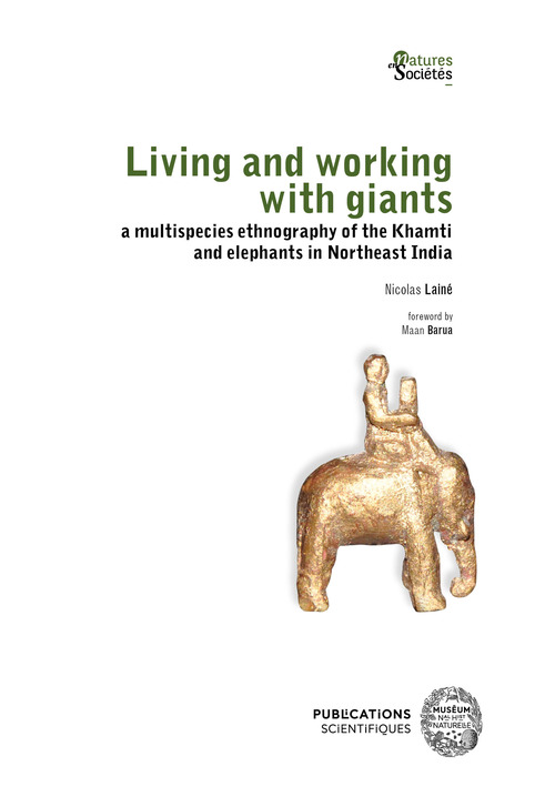 Couverture ebook de Living and working with giants, de Nicolas Lainé