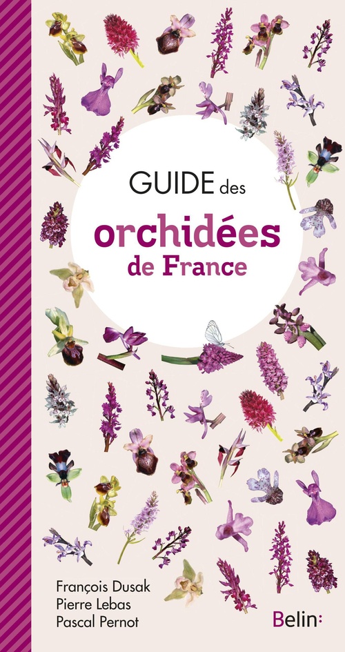 ebook cover of Guide des orchidées de France, by François Dusak, Pierre Lebas, Pascal Pernot