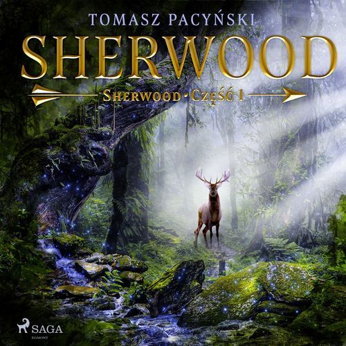 Couverture audiobook de Sherwood, de Tomasz Pacy'Nski