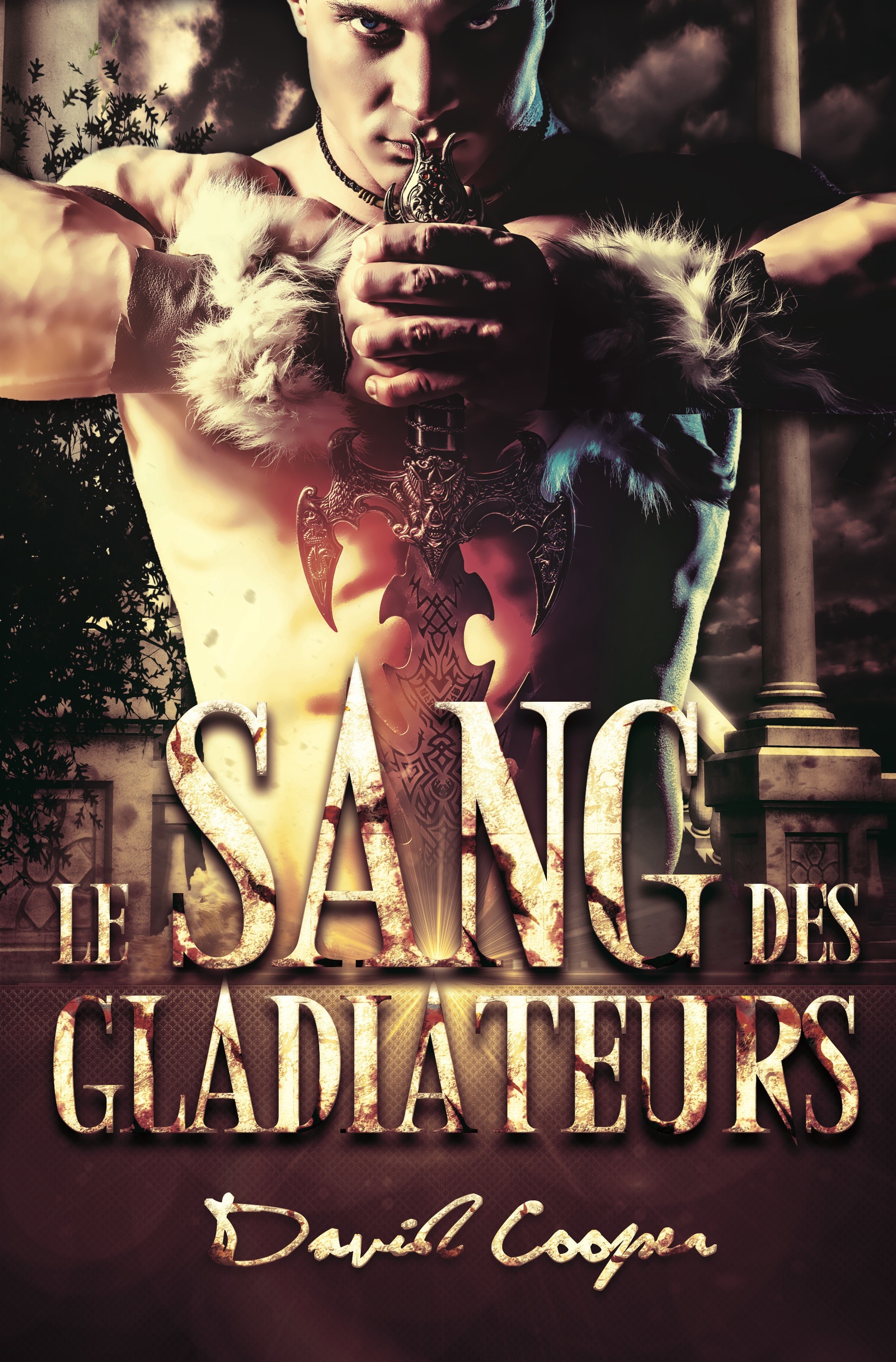 ebook cover of Le sang des Gladiateurs - Roman MM, livre gay, by David Cooper