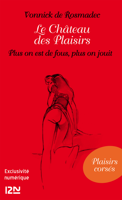 ebook cover of Le Château des Plaisirs - Plus on est de fous, plus on jouit, by Vonnick de Rosmadec