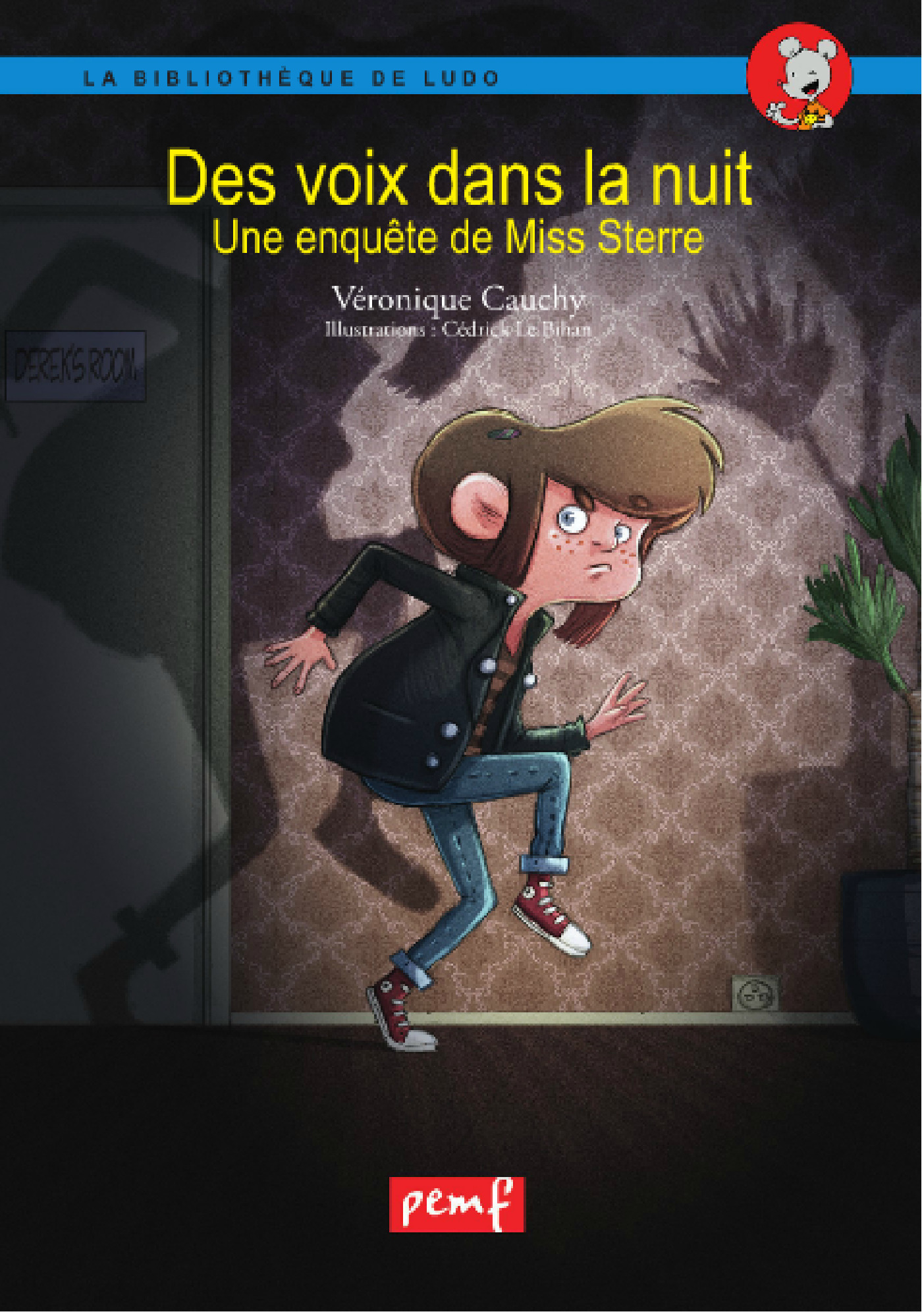 Couverture ebook de Des voix dans la nuit, de Véronique Cauchy