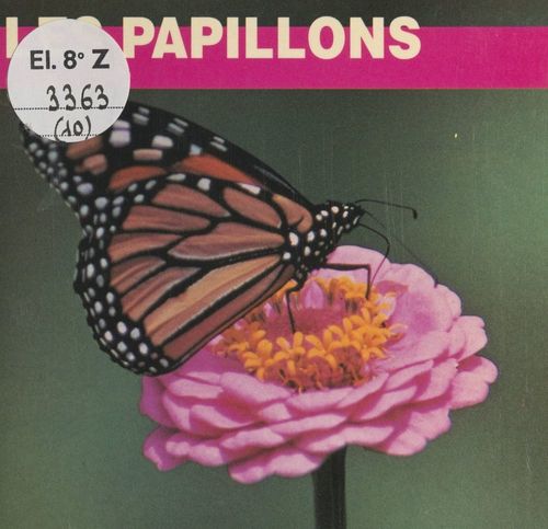 Couverture ebook de Les papillons, de Elizabeth Elias Kaufman