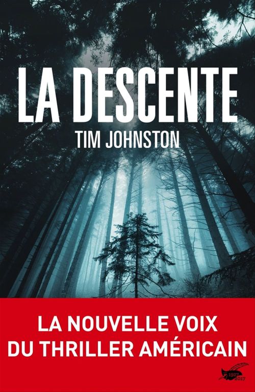 ebook cover of La descente, by Tim Johnston