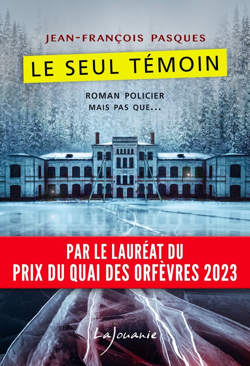 ebook cover of Le seul témoin, by Jean-François Pasques