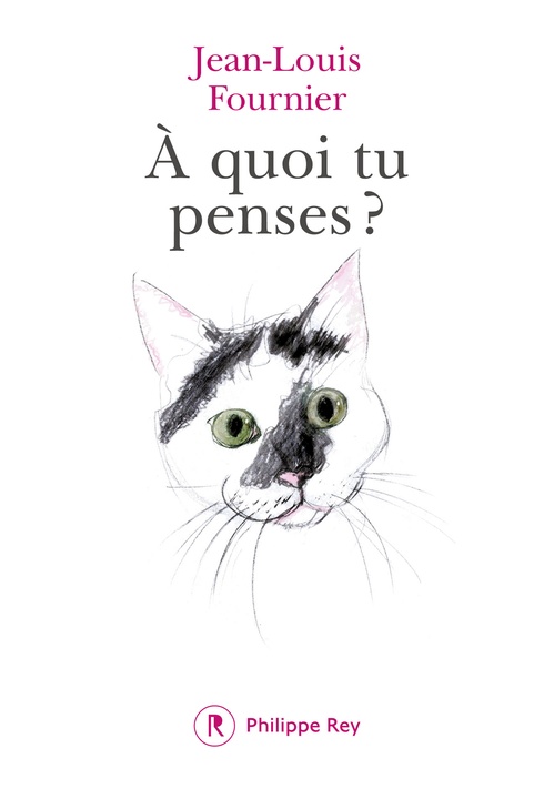 Couverture ebook de A quoi tu penses ?, de Jean-Louis Fournier