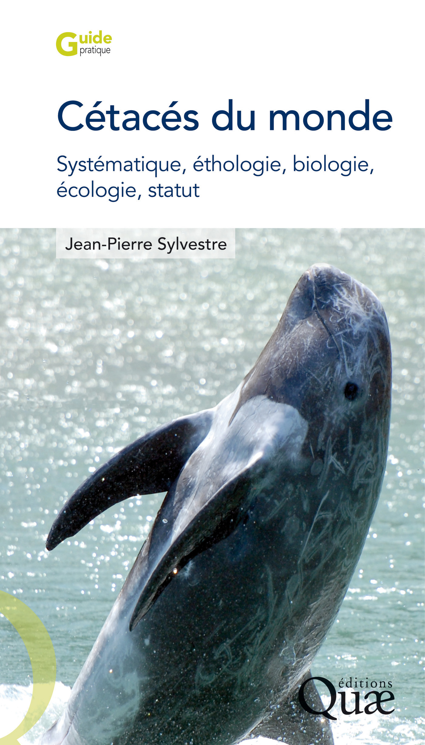 Couverture ebook de Cétacés du monde, de Jean-Pierre Sylvestre