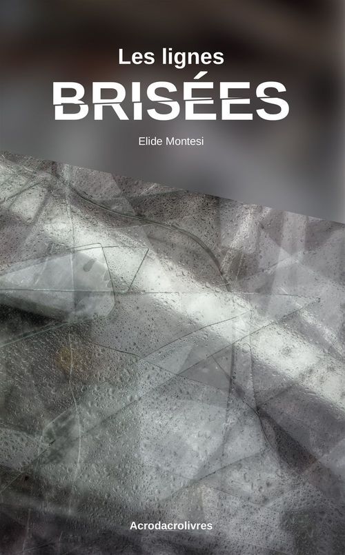 ebook cover of Les lignes brisées, by Elide Montesi