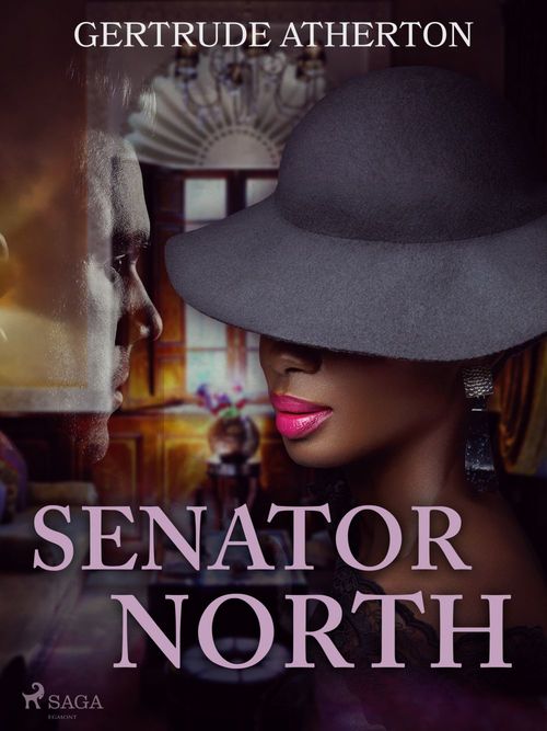 Couverture ebook de Senator North, de Gertrude Atherton