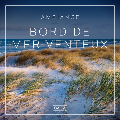 Couverture audiobook de Ambiance - Bord de mer venteux, de Rasmus Broe