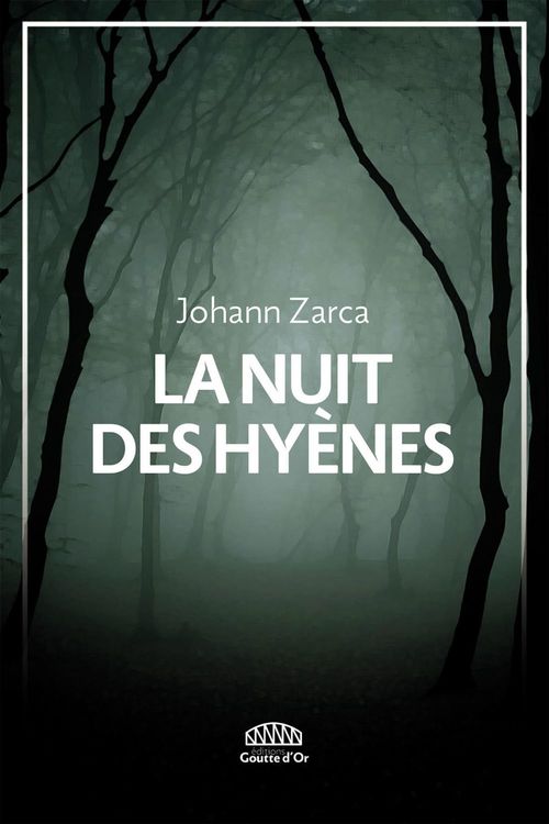 ebook cover of La nuit des hyènes, by Johan Zarca