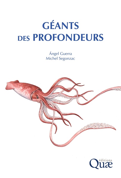 Couverture ebook de Géants des profondeurs, de Angel Guerra, Michel Segonzac
