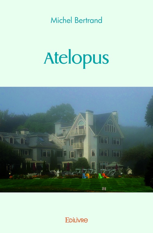 Couverture ebook de Atelopus, de Michel Bertrand