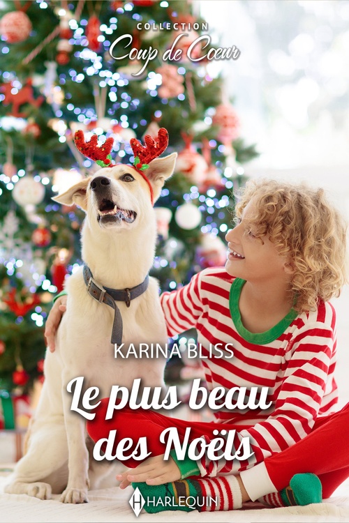 Couverture ebook de Le plus beau des Noëls, de Karina Bliss