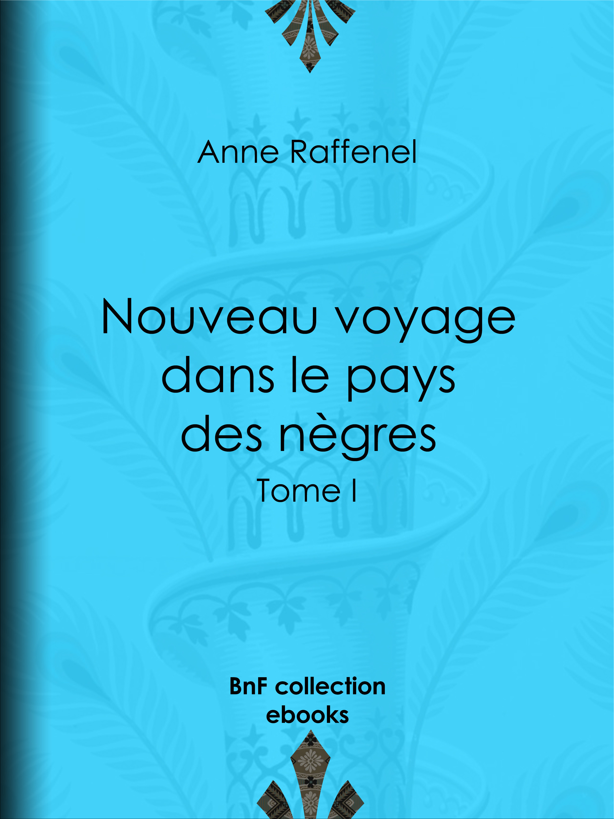 ebook cover of Nouveau voyage dans le pays des nègres, by Anne Raffenel