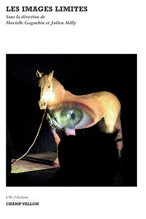 ebook cover of Les images limites, by Murielle Gagnebin, Julien Milly